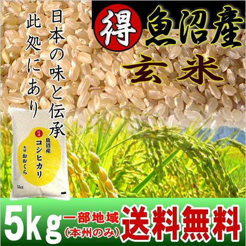 米 5kg 玄米 魚沼産コシヒカリ 特選 （ 令和5年産 ） 玄米5kg 