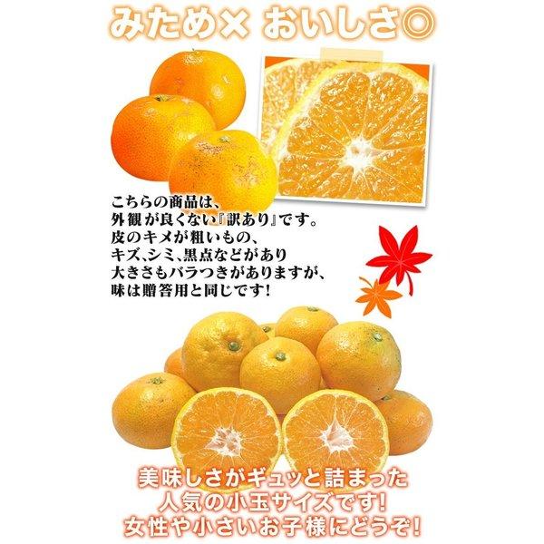 完熟みかん 訳あり 箱買い 5kg 1箱 小玉 愛媛県 宇和島産 西宇和産 みかん 2S-Sサイズ混合 家庭用 アウトレット フルーツ 送料無料