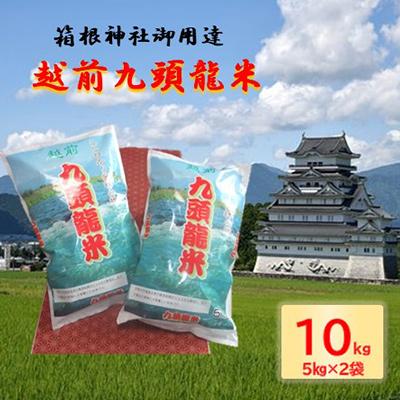 ふるさと納税 勝山市 越前九頭龍米(5kg×2袋)