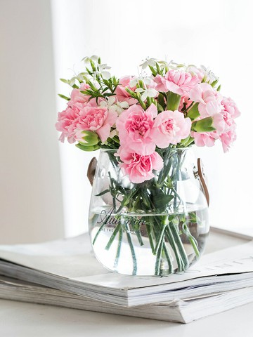 摩登主婦手提玻璃銅錢草水培瓶子創意花盆插花瓶干花裝飾透明花器