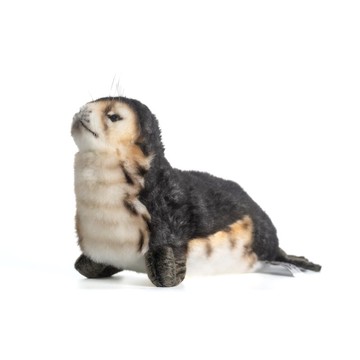 Hansa 6803-僧海豹寶寶30公分長