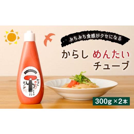 ふるさと納税 福岡県 直方市 からし めんたいチューブ 300g×2本 計 600g 明太チューブ