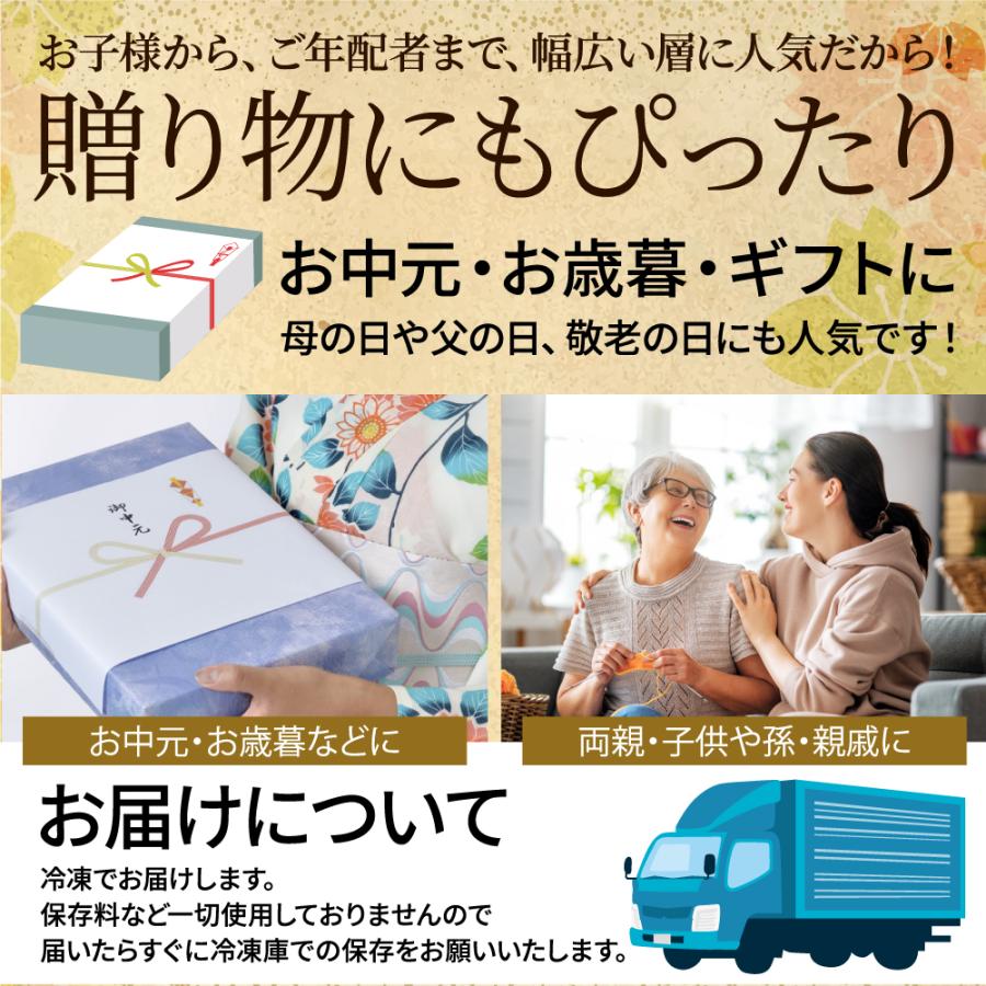 干物セット 高知県産 無添加 詰め合わせ 5種10枚 約1kg 定番 アジ サバ カマス 土佐清水 国産 産地直送 お歳暮 2023 ギフト