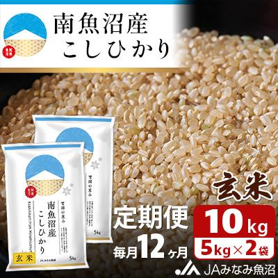 ふるさと納税 南魚沼市 南魚沼産こしひかり 玄米 10kg(5kg×2袋)全12回