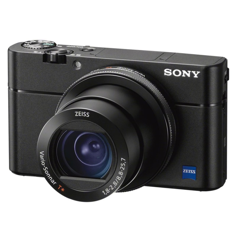 SONY RX100M5(予備バッテリー、グリップ付属) - デジタルカメラ