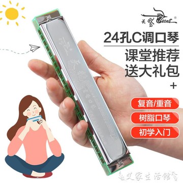 口琴 天鵝口琴初學者學生24孔入門兒童復音成人專業重音C調口風琴樂器 限時88折