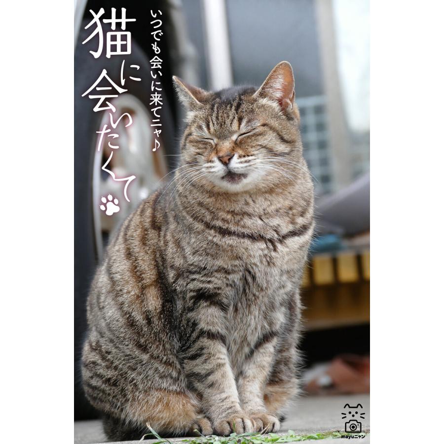 猫に会いたくて いつでも会いに来てニャ♪ 電子書籍版   著者・撮影:mayuニャン