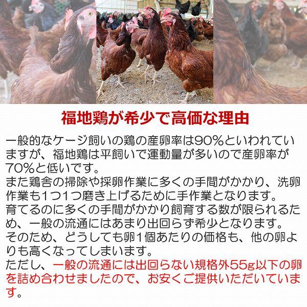 福地鶏のふくたまご25個(規格外55g以下) 福井県の平飼い地鶏卵 産地直送 テトテヲ