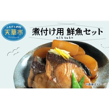 ふるさと納税 S121-002A_煮付け用　鮮魚セット 熊本県天草市