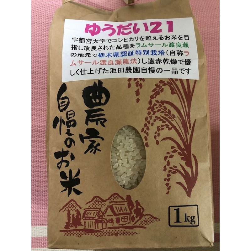 ゆうだい２１　お米(1kg)　抗酸化作用　栃木県の美味しいお米