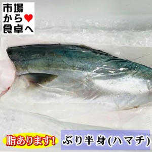 ぶり フィーレ 半身2枚(半身約1.5kg)  刺身・しゃぶしゃぶ・寿司・煮付・照焼などでお使いいただけます【冷蔵