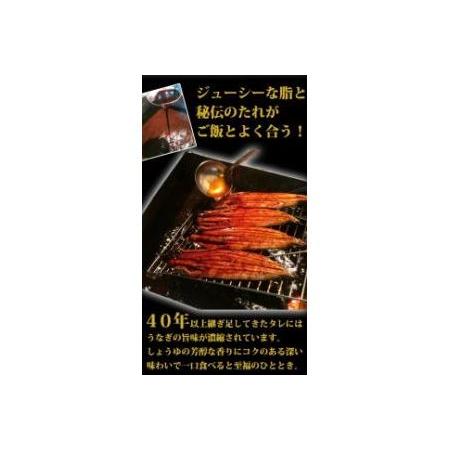 ふるさと納税 大型サイズふっくら柔らか　国産うなぎ蒲焼き　２尾 和歌山県印南町