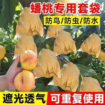 【種植必備】 水果套袋 多入組合 無花果 雪紗袋 防蟲套袋 百香果網袋 絲瓜套袋 黃金果 酪梨套袋 防鳥 防果蠅