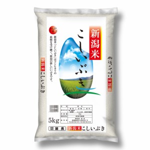 送料無料 新潟産こしいぶき 5Kg   お米 お取り寄せ グルメ 食品 ギフト プレゼント おすすめ お歳暮