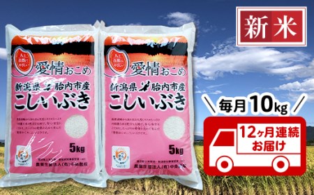 16-I10Z新潟県胎内市産こしいぶき10kg（5kg×2袋）