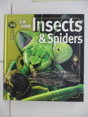 【書寶二手書T8／少年童書_UDF】昆蟲與蜘蛛_諾爾.泰特著; 廖梅璇譯