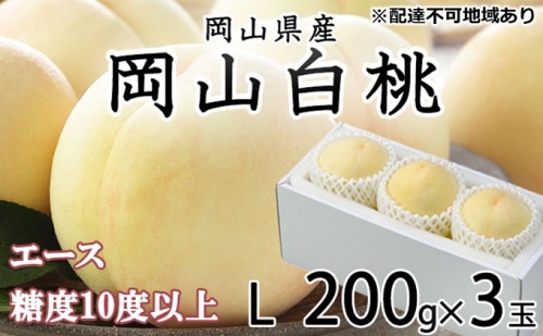 白桃 エース 3玉×約200g（Lサイズ） JA おかやま のもも（早生種・中生種） 岡山県産 桃 もも 果物 フルーツ 2023年 先行予約
