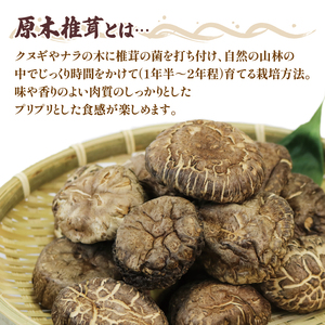 原木椎茸 200g 香信 こうしん 干し椎茸 しいたけ シイタケ