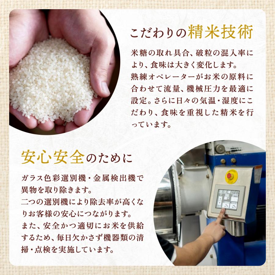 ギフト 送料無料 令和５年産 新潟の光９個セット 米 お米 白米 精米 新潟 産地直送