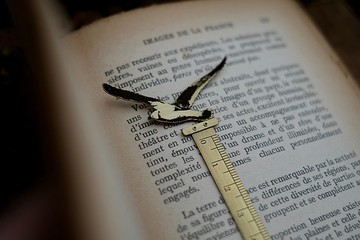 【臍加厝】文具系列│手工黃銅動物書籤尺│進階款海鷗