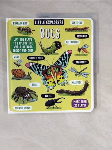 【書寶二手書T6／少年童書_ZLX】Little Explorers Bugs_Dynamo Ltd.
