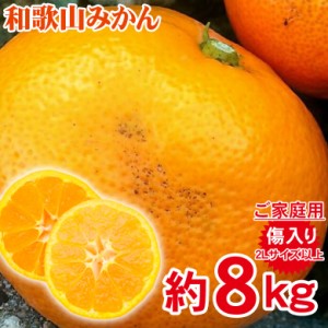 送料無料 キズ有り 訳あり 家庭用 みかん 和歌山県産 和歌山みかん 温州みかん 2Lサイズ以上 サイズ混合 約8kg 訳あり キズあり 国産  国