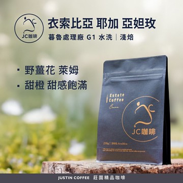 衣索比亞 耶加雪菲 亞妲玫 暮魯處理廠 G1 水洗 咖啡豆1包│淺焙【JC咖啡】半磅(230g) 莊園咖啡 新鮮烘焙