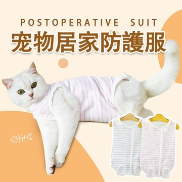 🌈PEt✨貓咪絕育服 貓咪產后衣服 手術服 防舔服 斷奶服 條紋春夏季 四腿衣 居家服