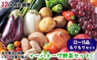  イーハトーヴ野菜C  もりもりセット  12～15品  詰め合わせ 　 予約受付2024年3月から発送開始 　