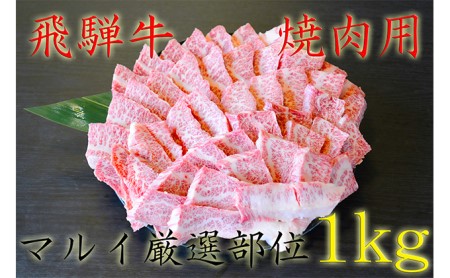 飛騨牛焼肉用（A4～A5等級）マルイ厳選部位約1kg（約500g×2）