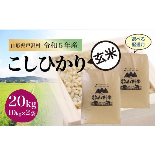 令和5年産 コシヒカリ  20kg（10kg×2袋）＜配送時期指定可＞ 山形県 戸沢村