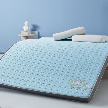 新款加厚學生宿舍乳膠床墊家用雙人榻榻米床墊1.8米1.5米軟墊