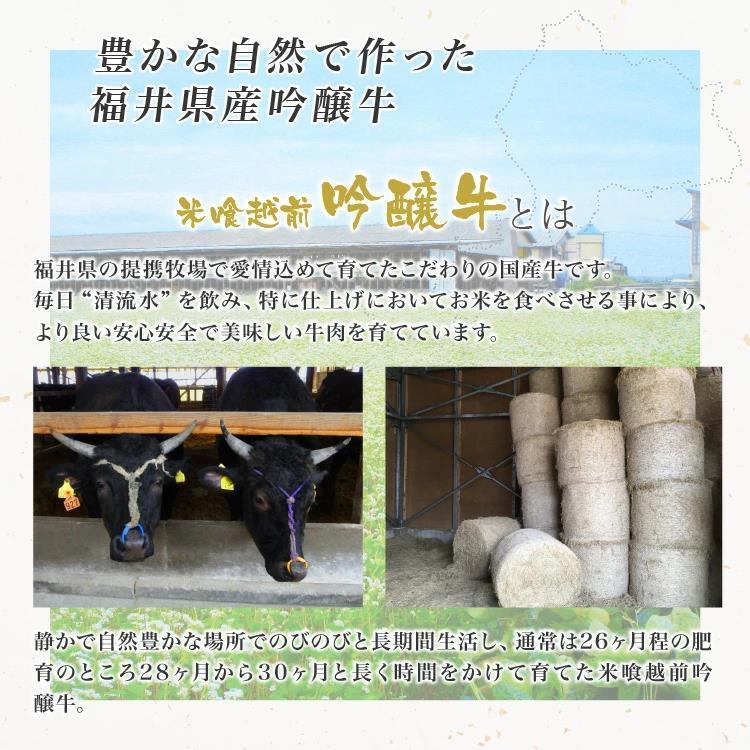 ギフト   霜降りロース (800g) お肉 国産牛 国産牛肉 ロース すきやき しゃぶしゃぶ お取り寄せグルメ 贈り物  高級 敬老の日