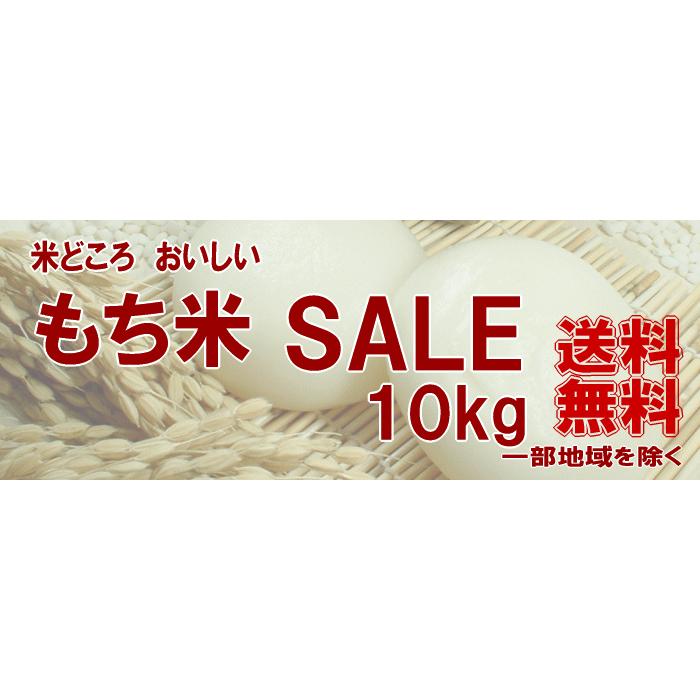 お米 10kg もち米 でわのもち 白米山形県 庄内 10kg×1袋 5年度産  送料無料 但し北海道・関西・中国・四国・九州・沖縄県を除く