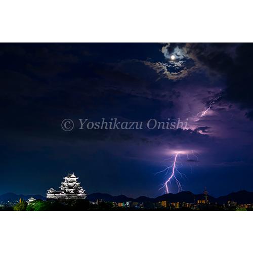 絶景姫路城 世界文化遺産・国宝 大西義和 写真