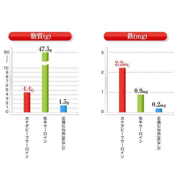 サーロイン ステーキ ステーキ肉 赤身 バーベキュー 熟成肉  夏ギフト 福袋 熟成・厚切りサーロインステーキ（約300g）×4枚セット 中元 帰省 土産