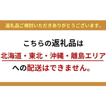 ふるさと納税 あまおう DX等級以上 約300g×2パック ※配送不可：北海道・東北・沖縄・離島 福岡県朝倉市