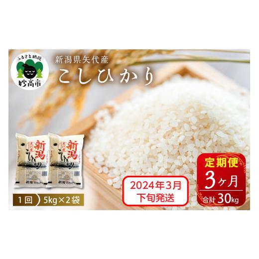 ふるさと納税 新潟県 妙高市 新潟県矢代産コシヒカリ10kg(5kg×2袋)×3回