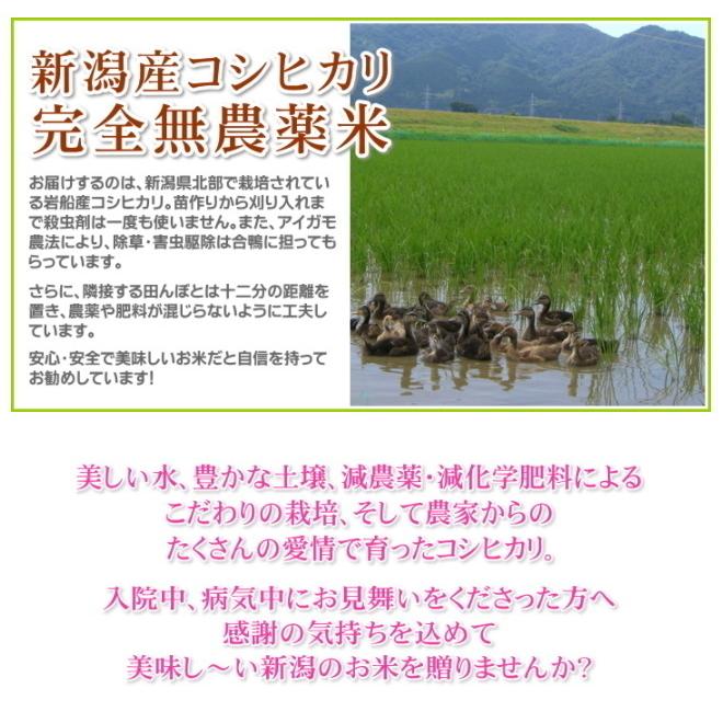 快気祝い 品物 内祝 お返し お見舞い返し 退院祝い お米 4kg 農薬不使用 希少米 コシヒカリ 無洗米 人気 送料無料