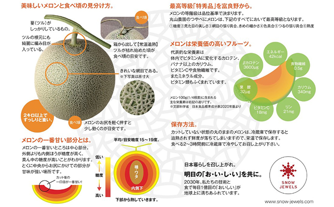  先行受付 北海道 富良野産 赤肉 つやべに メロン 2玉 箱 4kg以上 (ふらの 丸山農園)