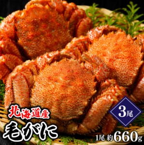 お歳暮 ギフト 送料無料 北海道産 毛ガニ 1尾 660g×3尾   御歳暮 冬ギフト 蟹 かに カニ 毛蟹 毛がに 北海道直送 毛ガニ 新鮮 内祝い 御