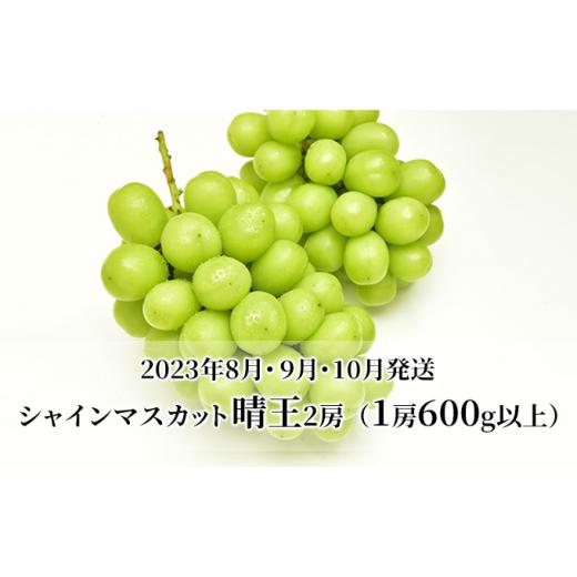 ふるさと納税 岡山県 岡山市 ぶどう 定期便 2024年 先行予約 シャイン マスカット 晴王 各月2房（1房600g以上） 3回コース マスカット ブドウ 葡萄  岡山県産 …