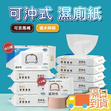 【台灣現貨】可降解濕廁紙 可沖式 濕廁紙 廁紙濕巾 濕紙巾 寶寶濕巾 無酒精濕紙巾 濕巾 可沖式濕式衛生紙 如廁濕紙巾