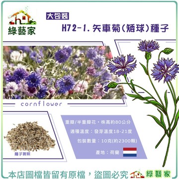 【綠藝家】大包裝H72-1.矢車菊(矮球)種子10克(產地荷蘭) 花類 園藝 種植 車輪花 重瓣 半重瓣 花壇 矮球