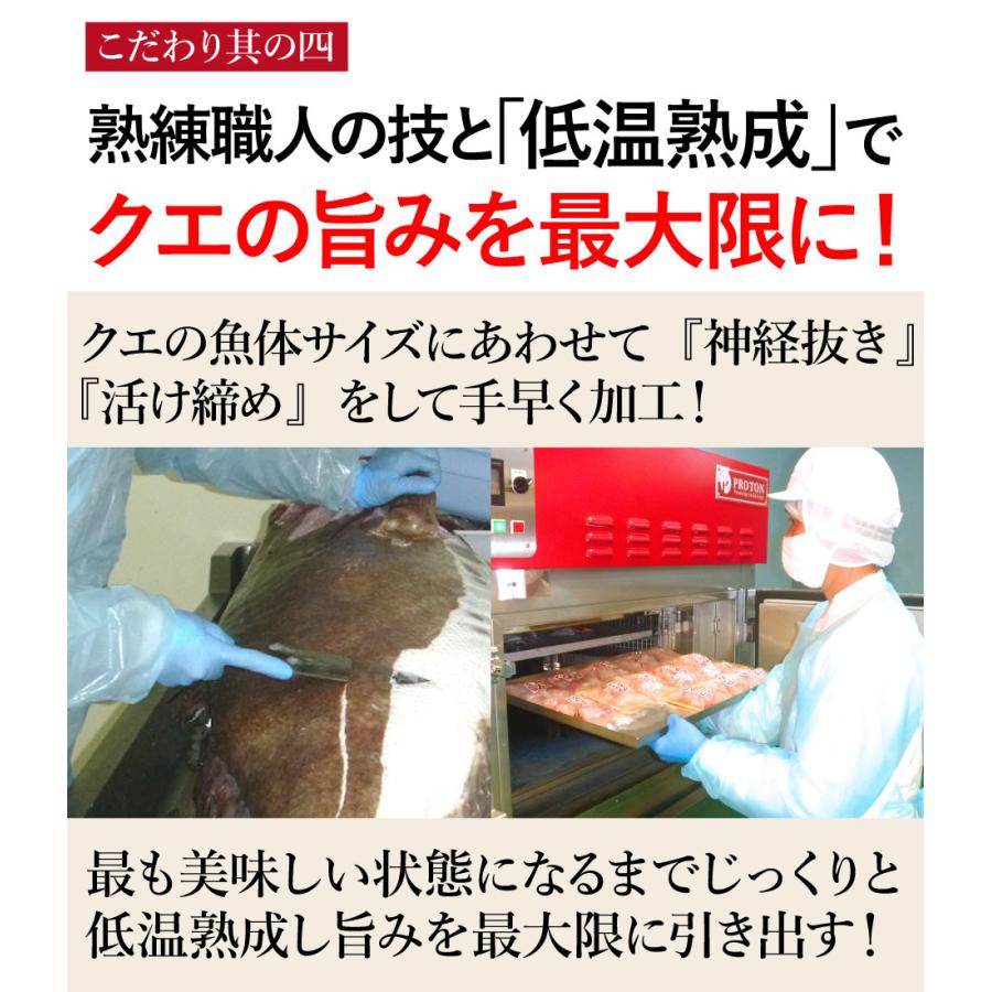 お歳暮 ギフト 長崎産天然クエ鍋 3人前 (クエ計550g前後 クエだしの素付) クエ鍋 お取り寄せグルメ ギフト 鍋 クエ鍋セット