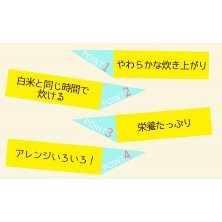 ふるさと納税 やわらかい玄米 900g ※12回定期便 安心安全なヤマトライス H074-534 愛知県碧南市