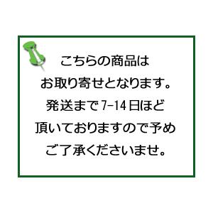 ファイン 根昆布粉末 120g 宅配便限定 食品