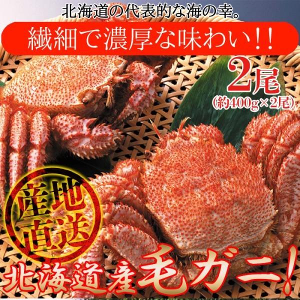 北海道産 毛がに 産地直送 濃厚 繊細な味わい 海の幸 絶品 400g×2尾 ギフト対応 可能商品