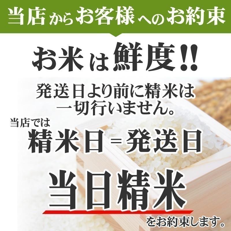 米 お米 ひとめぼれ 750g 5合 令和4年産 岩手県産 白米 無洗米 分づき 玄米 お好み精米 送料無料 当日精米 ポイント消化 真空パック メール便 ゆうパケ