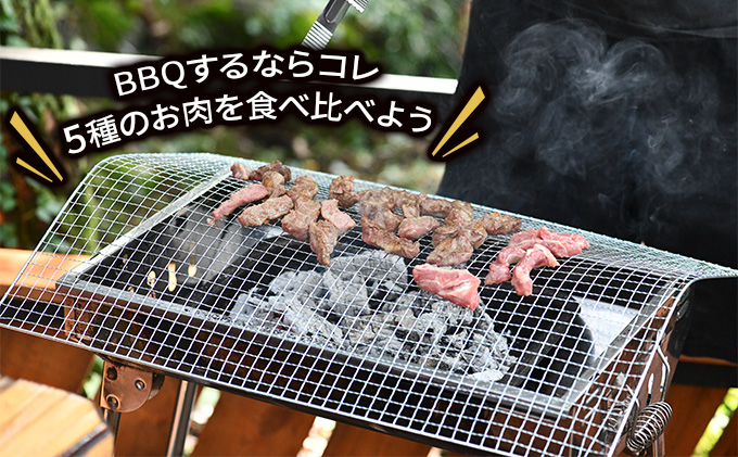 5種のお肉 BBQセット 牛 豚 鶏 羊 鹿肉 5人前 1.5kg 焼肉